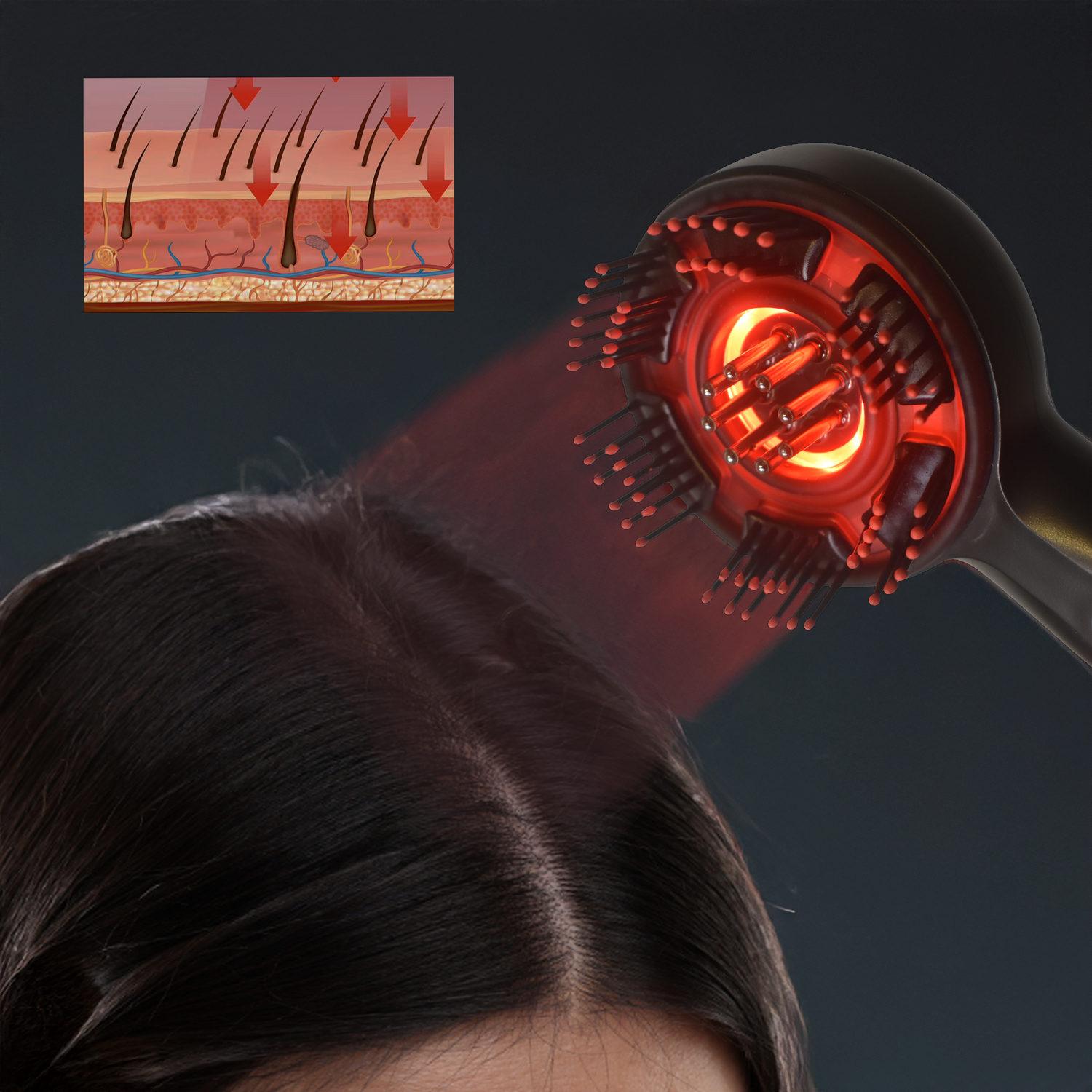 Hair dryer with red light emitting onto hair, inset showing hair follicle diagram.